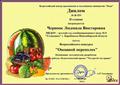 Организация участия и подготовка воспитанников Организация участия и подготовка воспитанников